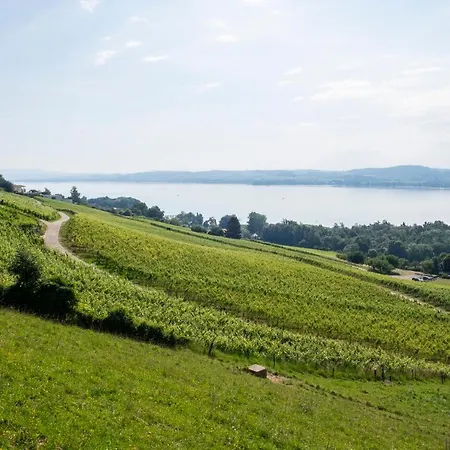 Gaestehaus Belle5 アパート Vully-les-Lacs